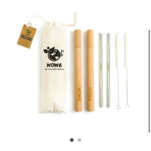 Stainless Steel Straw with Wood Travel Case | Eco-Friendly